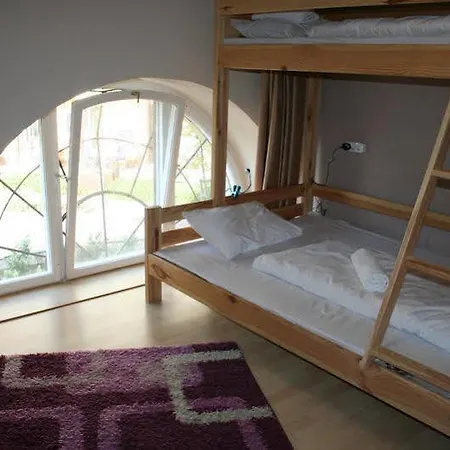 Walking Bed Downtown Hostel *